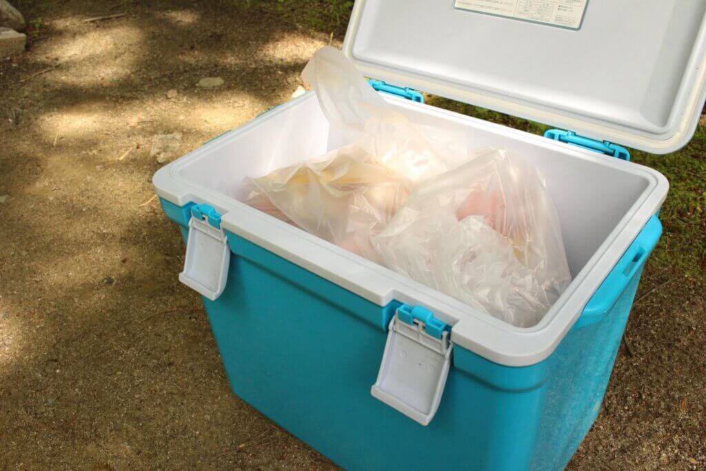 搬家食品打包的6個技巧，冷凍新鮮食品怎麼包才不會壞？