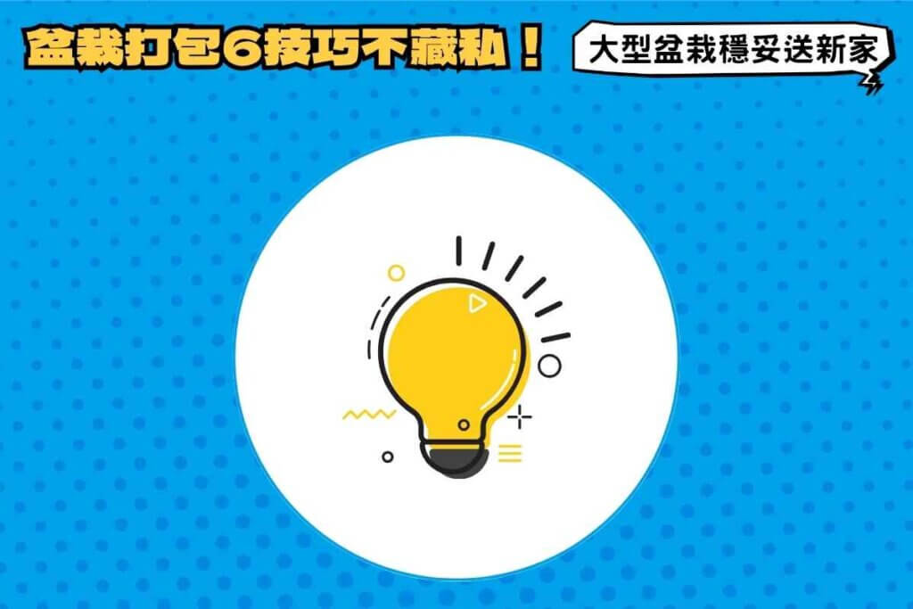 完成盆栽打包6技巧，大型盆栽穩妥運送到新家！